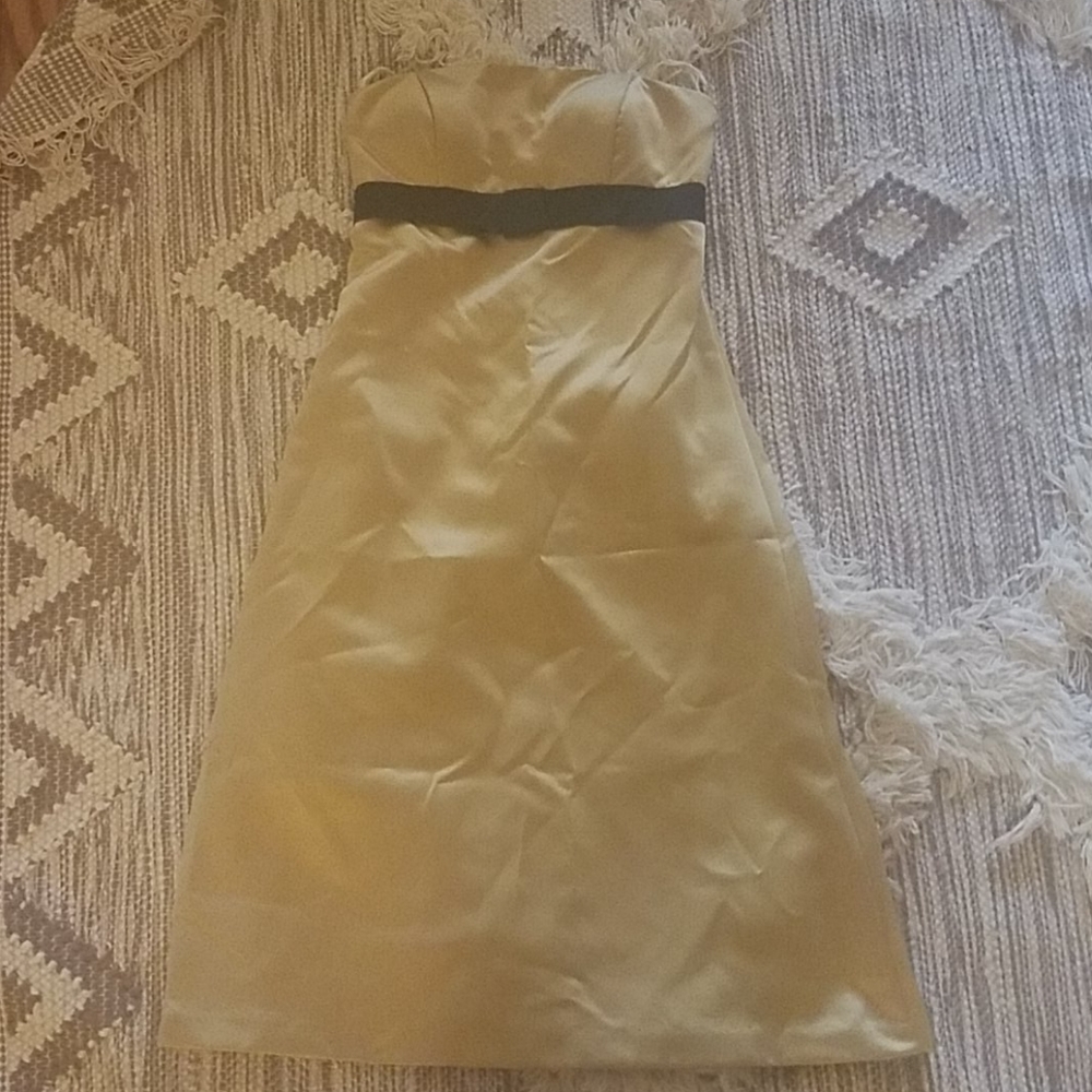 Dressy Collection Size 6